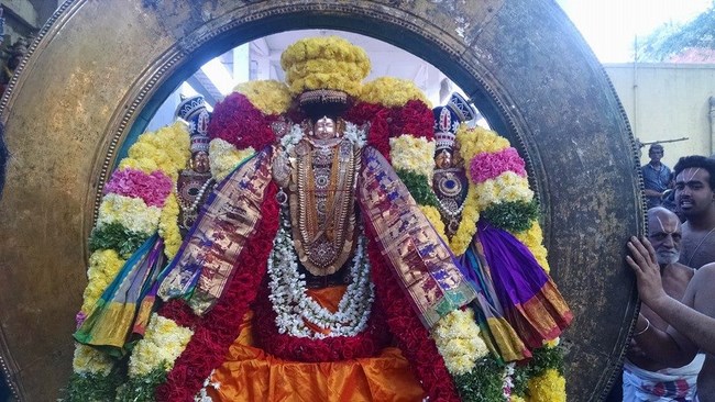 Thiruvahindrapuram Sri Devanathan Perumal Temple Rathasapthami Purappadu5