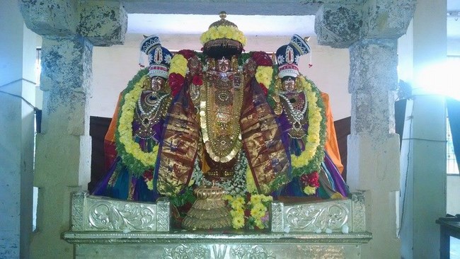 Thiruvahindrapuram Sri Devanathan Perumal Temple Rathasapthami Purappadu6