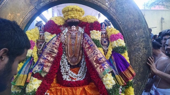 Thiruvahindrapuram Sri Devanathan Perumal Temple Rathasapthami Purappadu7