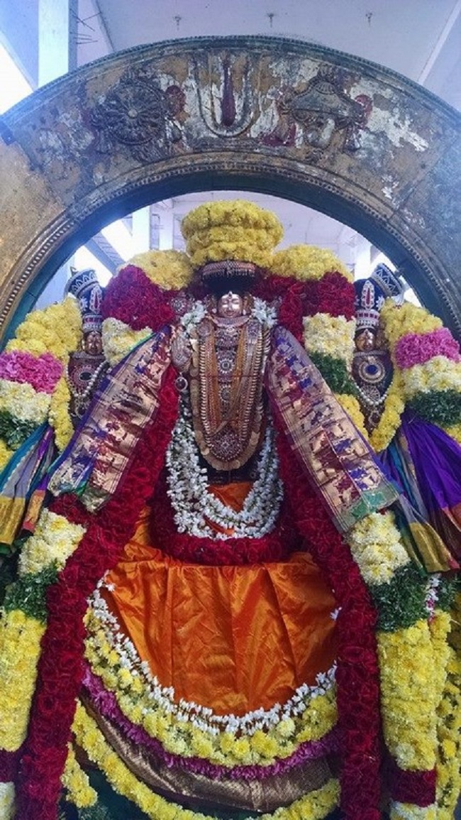 Thiruvahindrapuram Sri Devanathan Perumal Temple Rathasapthami Purappadu8