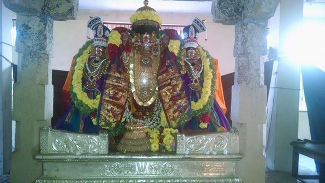 Thiruvahindrapuram Sri Devanathan Perumal Temple Rathasapthami Purappadu9