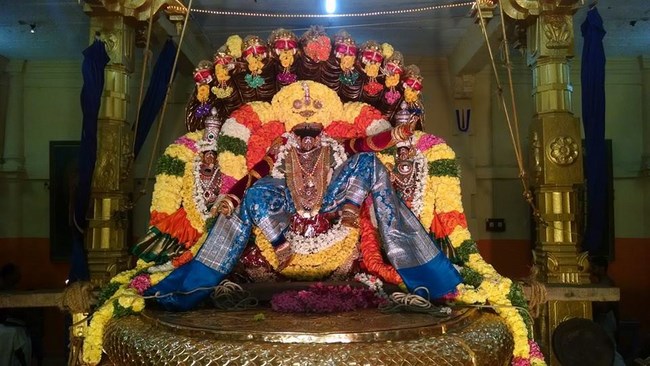 Thiruvahindrapuram Sri Devanathan Perumal Temple Thai Pushyam Purappadu1