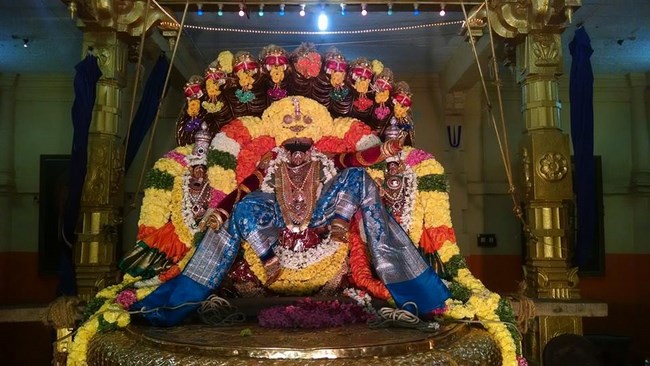 Thiruvahindrapuram Sri Devanathan Perumal Temple Thai Pushyam Purappadu6