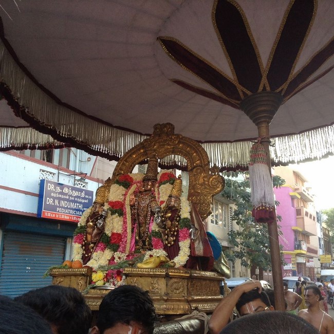 Thiruvallikeni Sri Parthasarathy Perumal Temple Thirumazhisai Azhwar Thirunakshatra Utsavam7