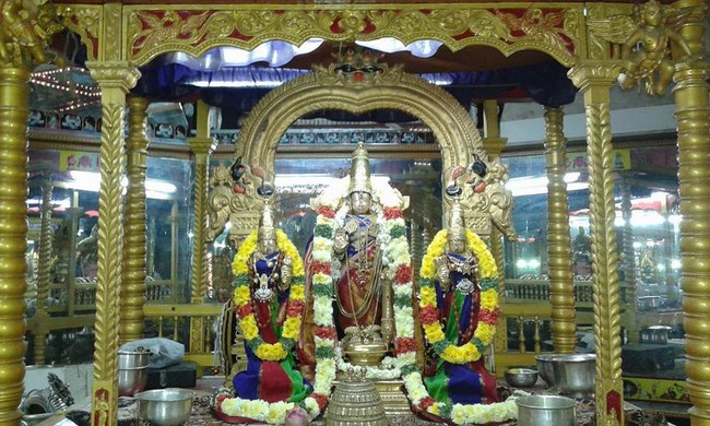 Thiruvallur Sri Veeraraghava Perumal Temple Masi Masa Theepothsavam3