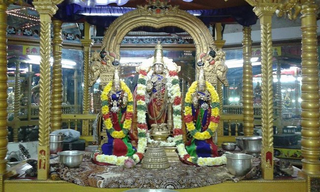Thiruvallur Sri Veeraraghava Perumal Temple Masi Masa Theepothsavam5