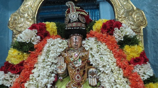 Thiruvelukkai Sri Amruthavalli Thayar Thai  Kadai Velli Purappadu  2015-01