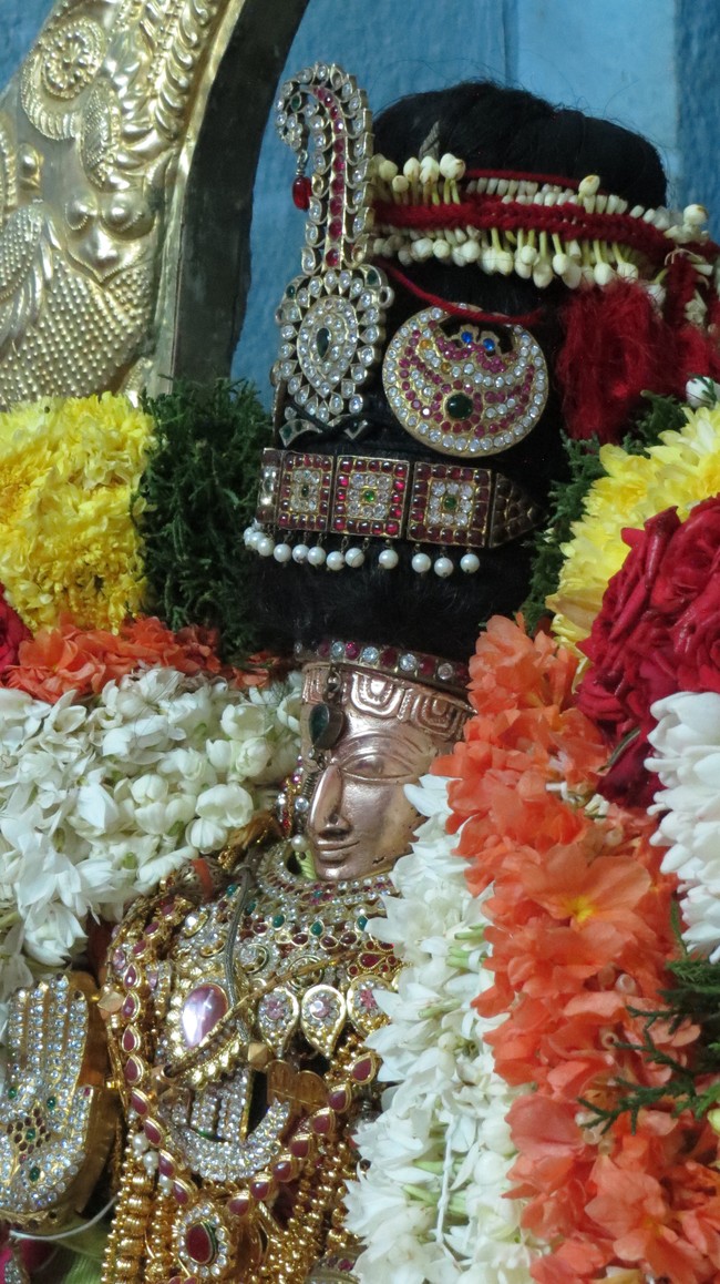 Thiruvelukkai Sri Amruthavalli Thayar Thai  Kadai Velli Purappadu  2015-04
