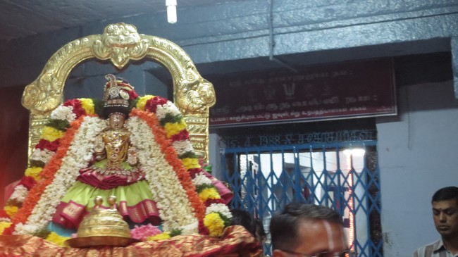 Thiruvelukkai Sri Amruthavalli Thayar Thai  Kadai Velli Purappadu  2015-05