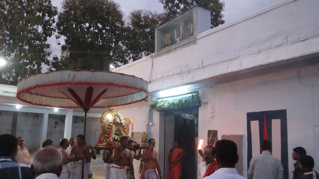 Thiruvelukkai Sri Amruthavalli Thayar Thai  Kadai Velli Purappadu  2015-07