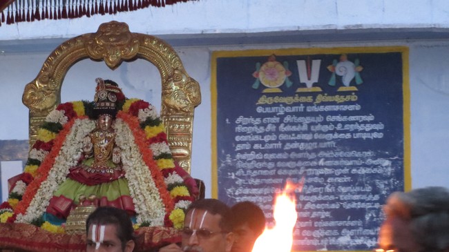 Thiruvelukkai Sri Amruthavalli Thayar Thai  Kadai Velli Purappadu  2015-08