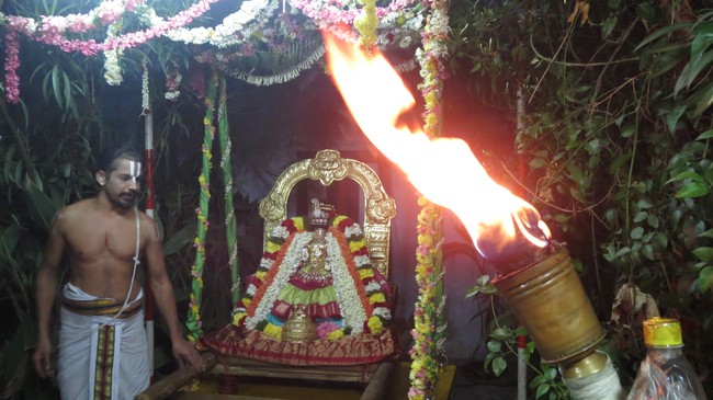 Thiruvelukkai Sri Amruthavalli Thayar Thai  Kadai Velli Purappadu  2015-11