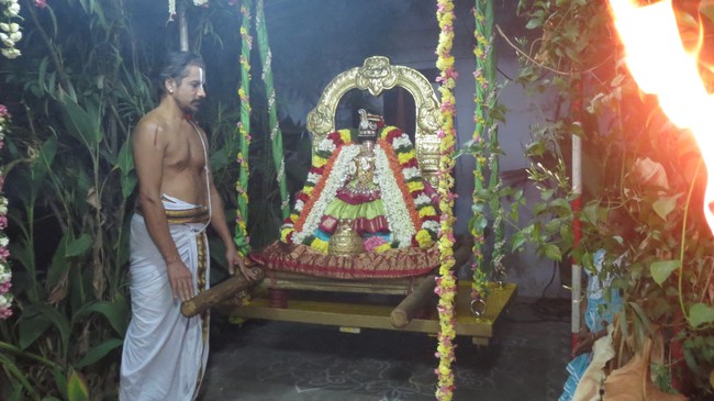 Thiruvelukkai Sri Amruthavalli Thayar Thai  Kadai Velli Purappadu  2015-12