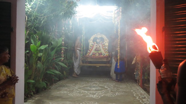 Thiruvelukkai Sri Amruthavalli Thayar Thai  Kadai Velli Purappadu  2015-17