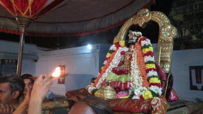 Thiruvelukkai Sri Amruthavalli Thayar Thai  Kadai Velli Purappadu  2015-19