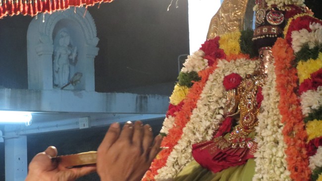 Thiruvelukkai Sri Amruthavalli Thayar Thai  Kadai Velli Purappadu  2015-20