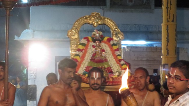 Thiruvelukkai Sri Amruthavalli Thayar Thai  Kadai Velli Purappadu  2015-21