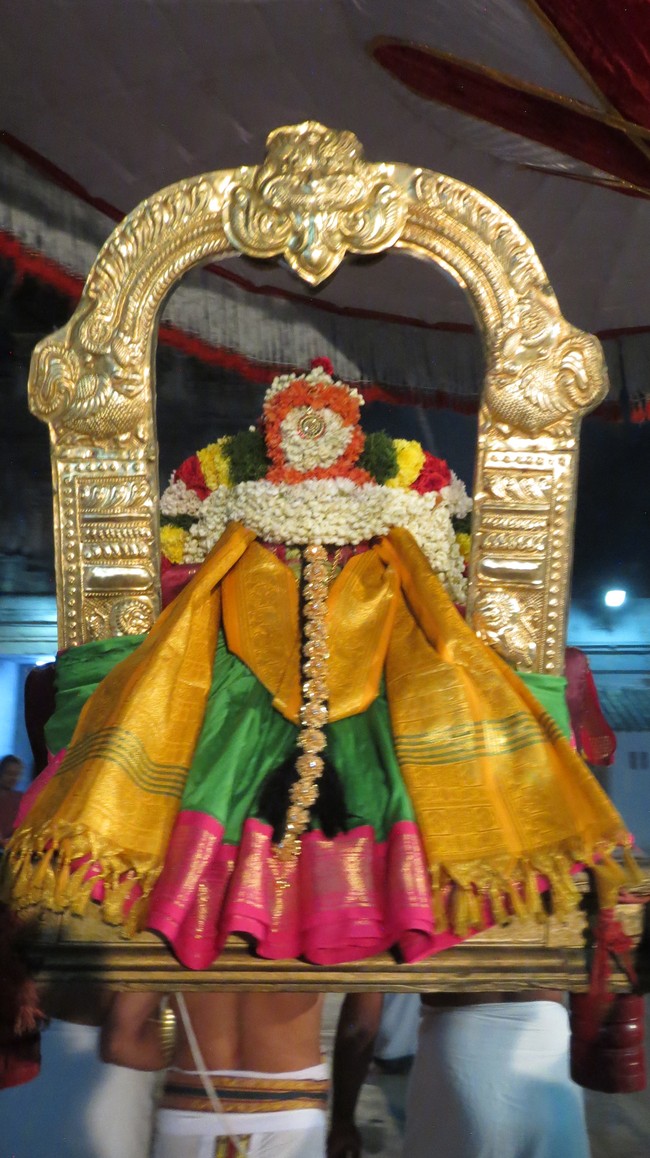 Thiruvelukkai Sri Amruthavalli Thayar Thai  Kadai Velli Purappadu  2015-23