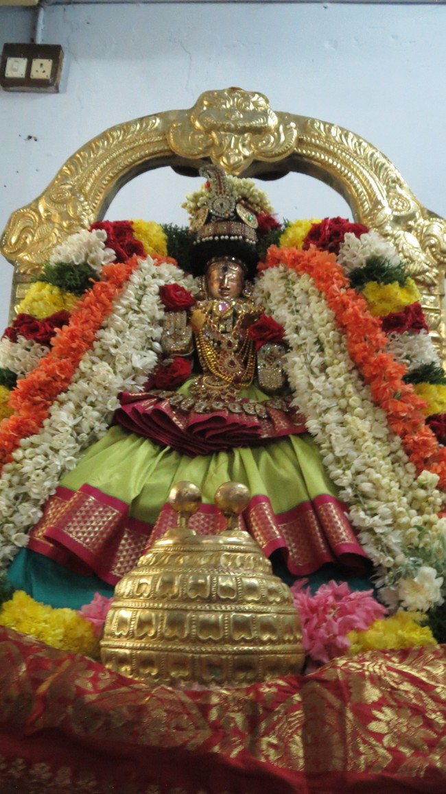 Thiruvelukkai Sri Amruthavalli Thayar Thai  Kadai Velli Purappadu  2015-25