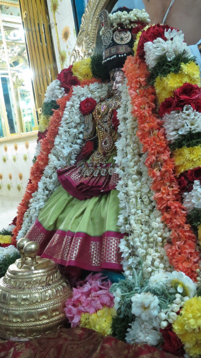 Thiruvelukkai Sri Amruthavalli Thayar Thai  Kadai Velli Purappadu  2015-28