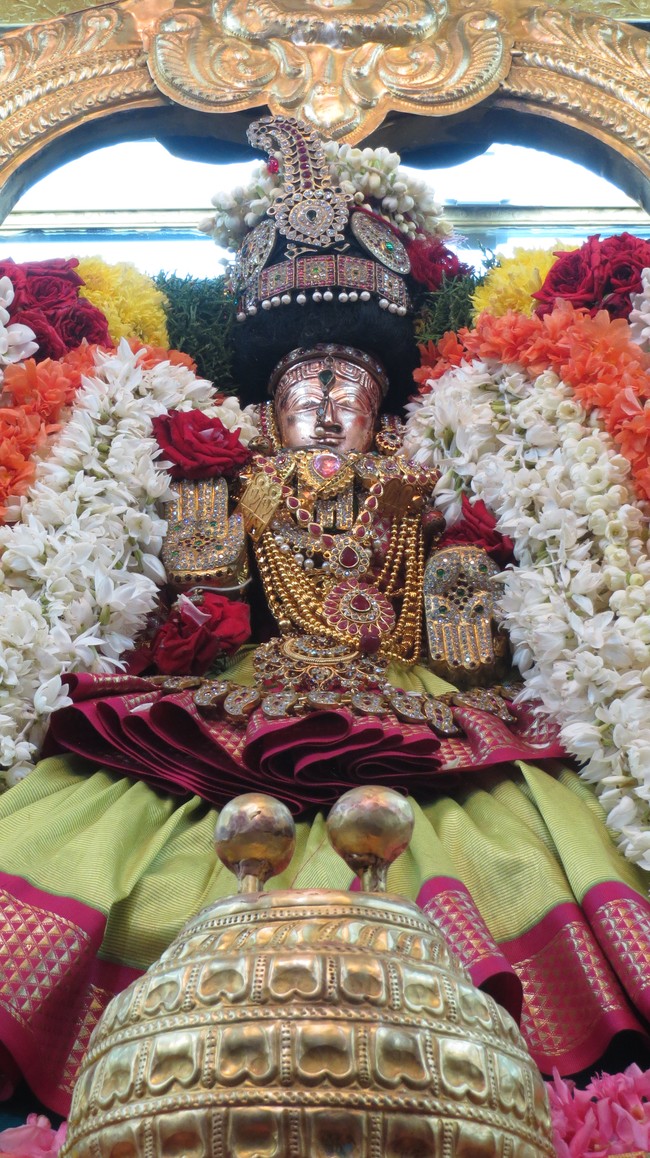 Thiruvelukkai Sri Amruthavalli Thayar Thai  Kadai Velli Purappadu  2015-30