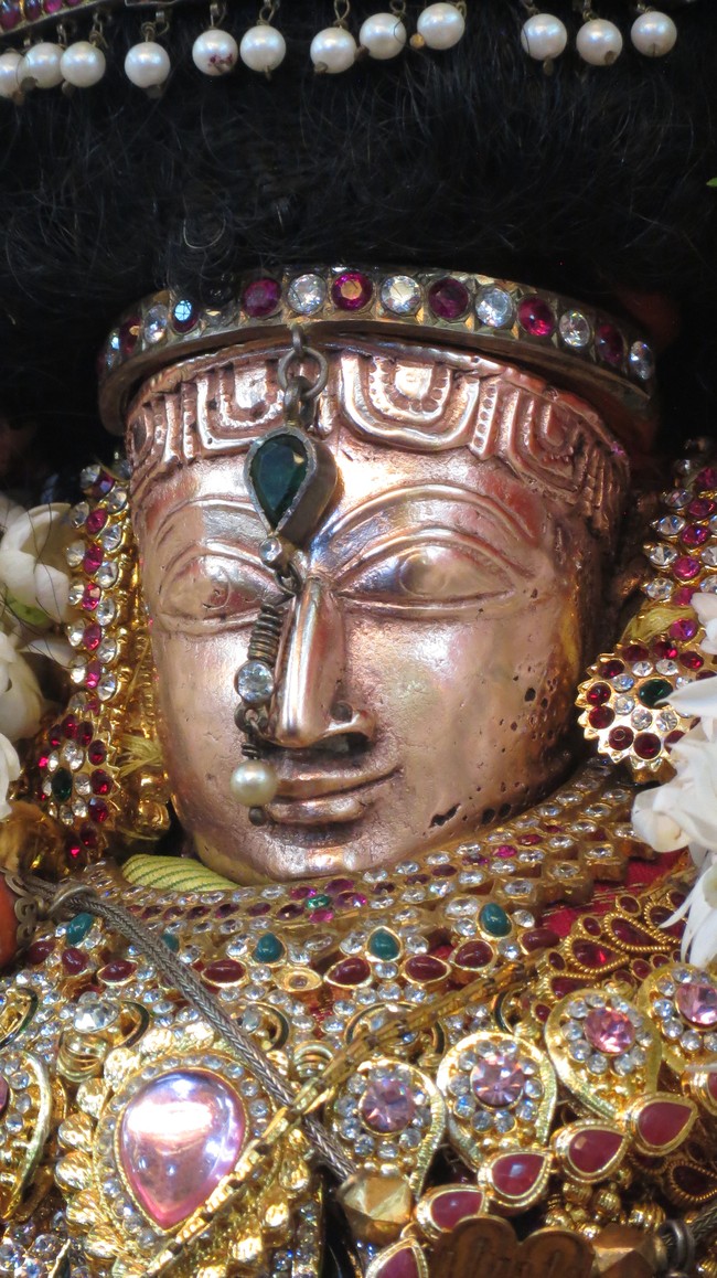 Thiruvelukkai Sri Amruthavalli Thayar Thai  Kadai Velli Purappadu  2015-35