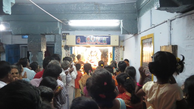 Thiruvelukkai Sri Amruthavalli Thayar Thai  Kadai Velli Purappadu  2015-36