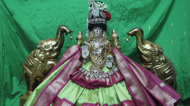 Thiruvelukkai Sri Amruthavalli Thayar Thai  Kadai Velli Purappadu  2015-40