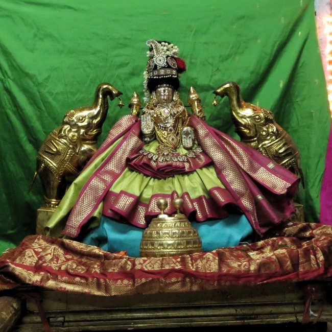 Thiruvelukkai Sri Amruthavalli Thayar Thai  Kadai Velli Purappadu  2015-41