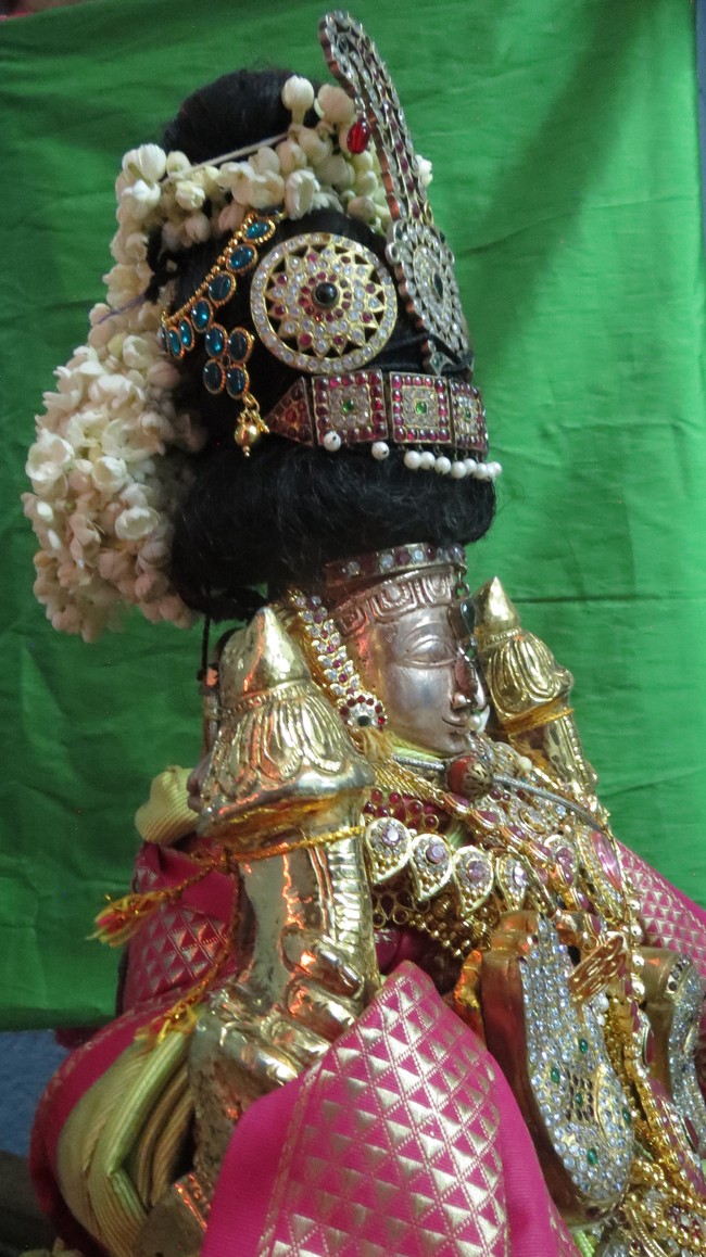 Thiruvelukkai Sri Amruthavalli Thayar Thai  Kadai Velli Purappadu  2015-42