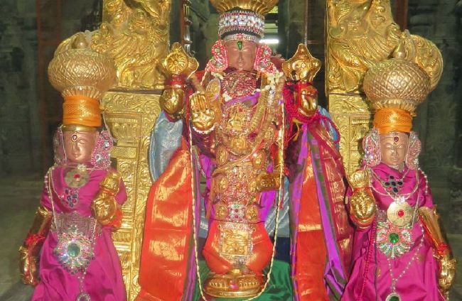Thoopul Sri Vilakoli Perumal Temple Dhavana Utsavam Day  2015 -01