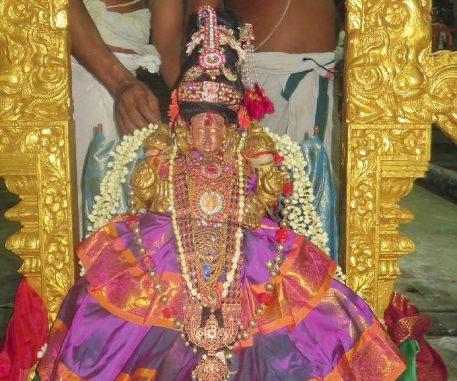 Thoopul Sri Vilakoli Perumal Temple Dhavana Utsavam Day  2015 -02