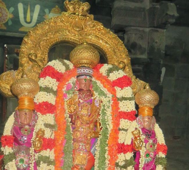 Thoopul Sri Vilakoli Perumal Temple Dhavana Utsavam Day  2015 -03