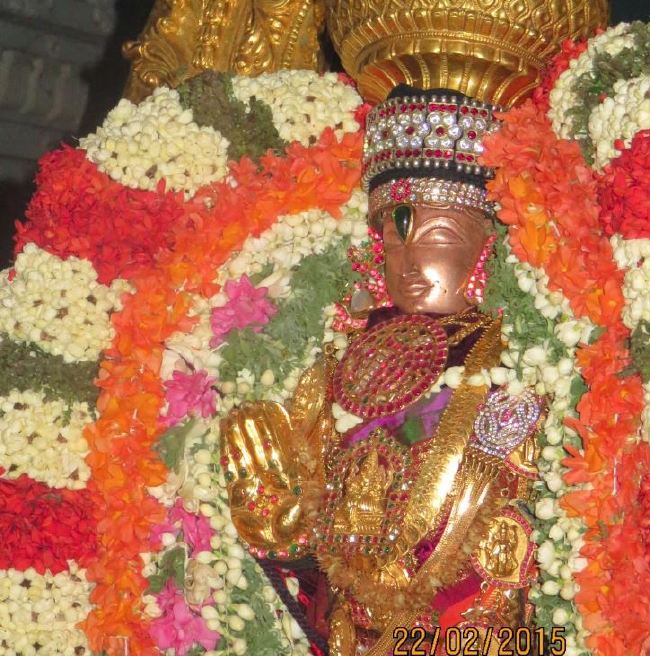 Thoopul Sri Vilakoli Perumal Temple Dhavana Utsavam Day  2015 -20