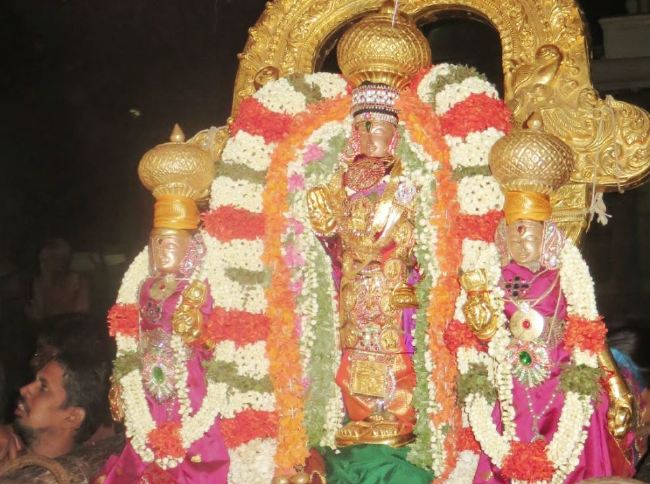 Thoopul Sri Vilakoli Perumal Temple Dhavana Utsavam Day  2015 -22
