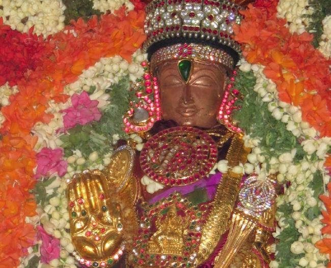 Thoopul Sri Vilakoli Perumal Temple Dhavana Utsavam Day  2015 -28