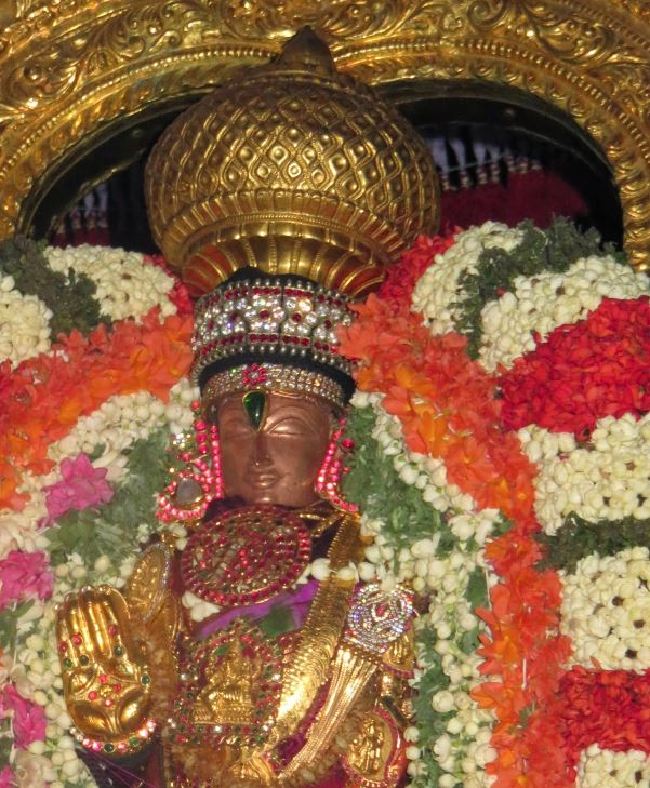 Thoopul Sri Vilakoli Perumal Temple Dhavana Utsavam Day  2015 -29