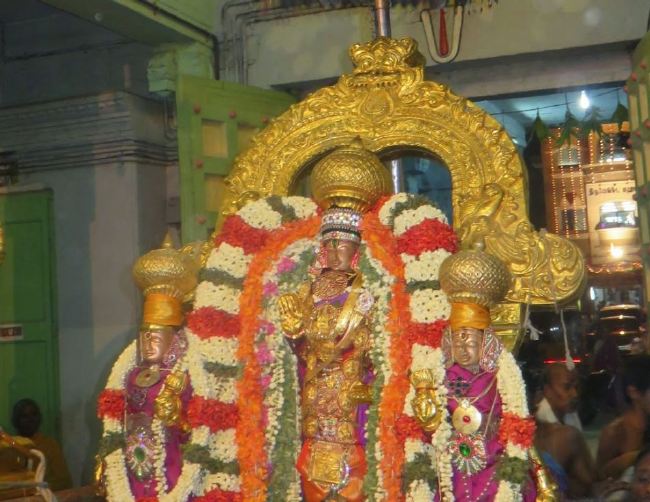 Thoopul Sri Vilakoli Perumal Temple Dhavana Utsavam Day  2015 -32