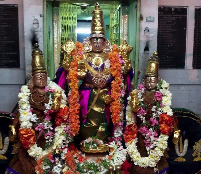Thoopul Sri Vilakoli Perumal Temple Sravana Purappadu-2015-01