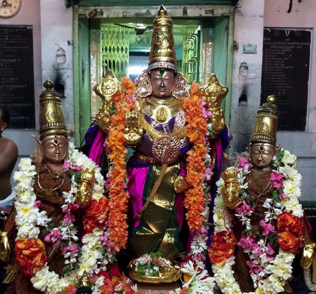 Thoopul Sri Vilakoli Perumal Temple Sravana Purappadu-2015-02