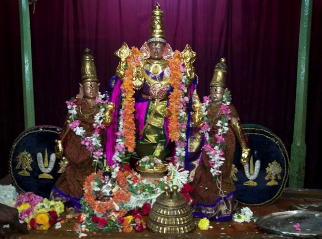 Thoopul Sri Vilakoli Perumal Temple Sravana Purappadu-2015-05