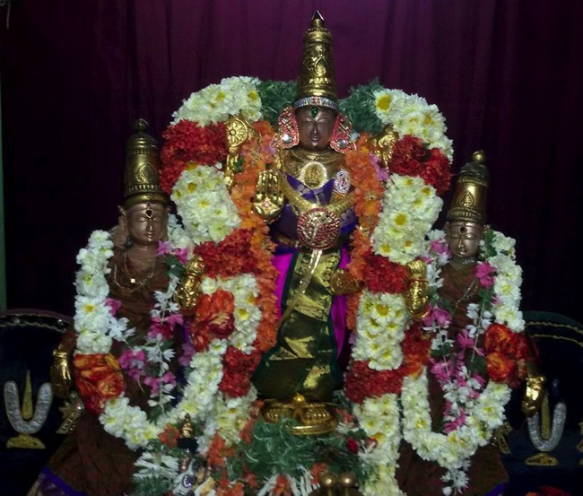 Thoopul Sri Vilakoli Perumal Temple Sravana Purappadu-2015-07