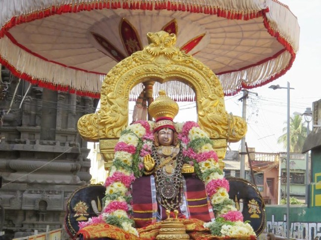 Thoopul Sri Vilakoli Perumal Temple Sravana Purappadu-2015-11