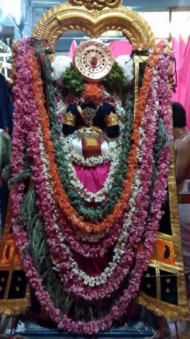 resized_Taramani Sri Prasanna Venkatesa Perumal TempleThai Brahmotsavam 5 Evening  2015 -4