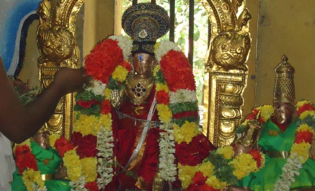 Anbil Sri Sundararaja Perumal Temple Masi garuda Sevai Thirumanjanam 2015 -04