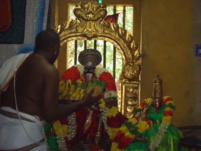 Anbil Sri Sundararaja Perumal Temple Masi garuda Sevai Thirumanjanam 2015 -06