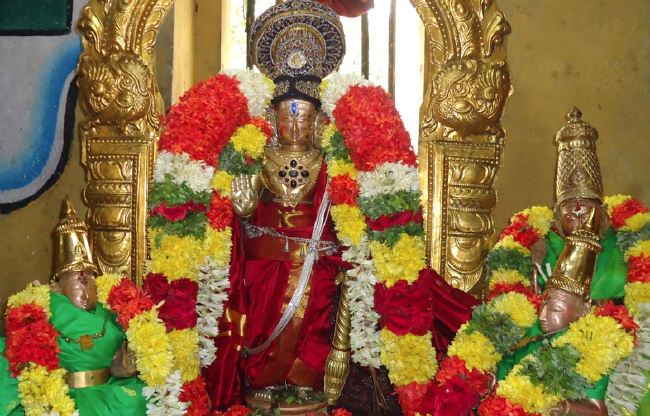 Anbil Sri Sundararaja Perumal Temple Masi garuda Sevai Thirumanjanam 2015 -11