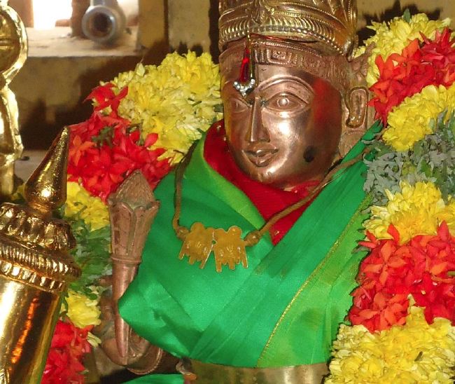 Anbil Sri Sundararaja Perumal Temple Masi garuda Sevai Thirumanjanam 2015 -13