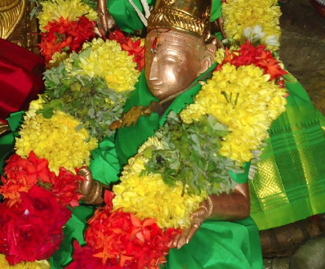 Anbil Sri Sundararaja Perumal Temple Masi garuda Sevai Thirumanjanam 2015 -15