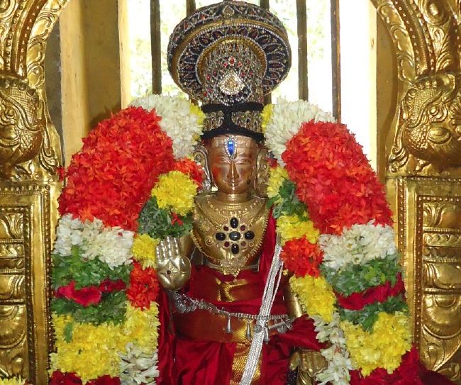 Anbil Sri Sundararaja Perumal Temple Masi garuda Sevai Thirumanjanam 2015 -19